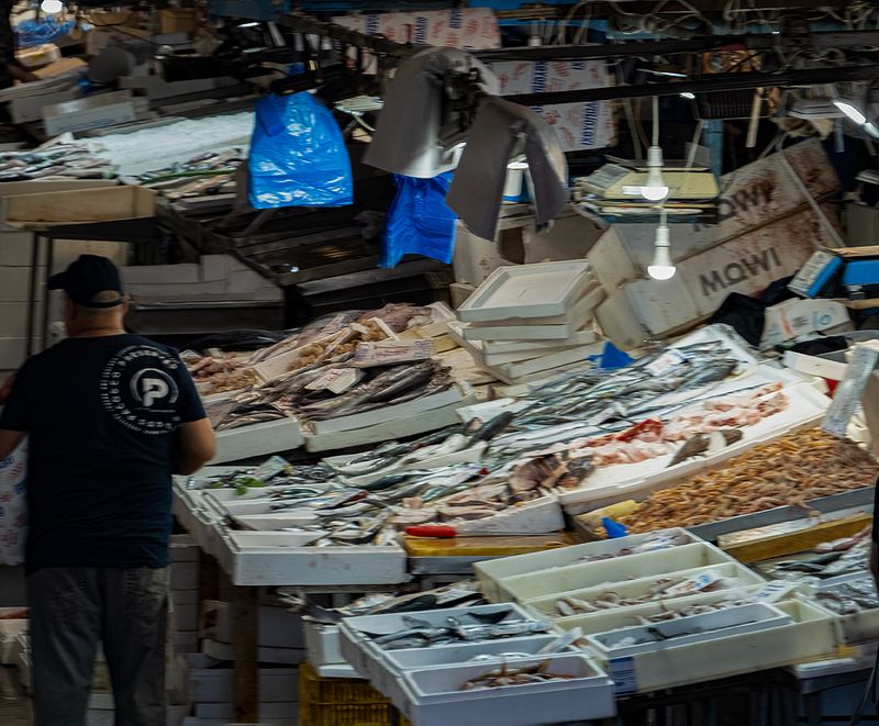 SMELL FISH?