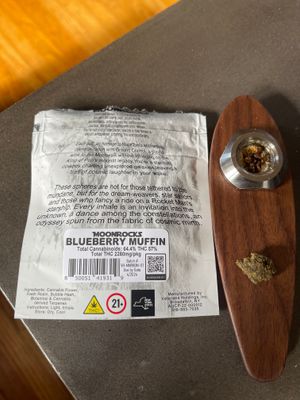 Terp Surfer and Moonrocks.jpg