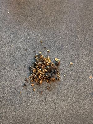TA avb.jpg