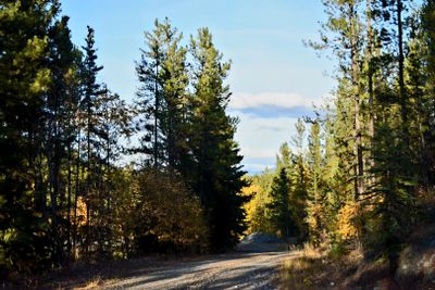 DSC_3295.JPG