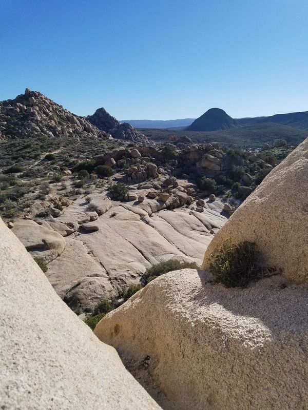 desert - 34.jpg