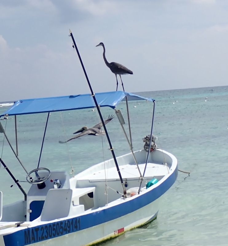 tulum d.JPG