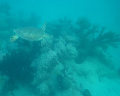 tulum 26.JPG