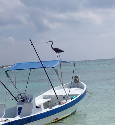 tulum c.JPG