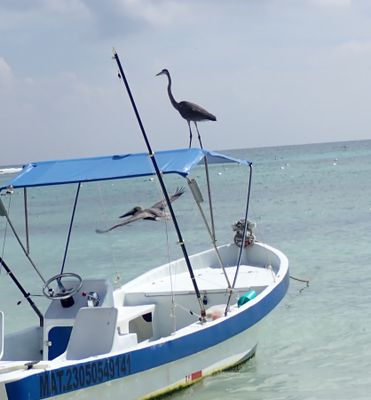 tulum d.JPG