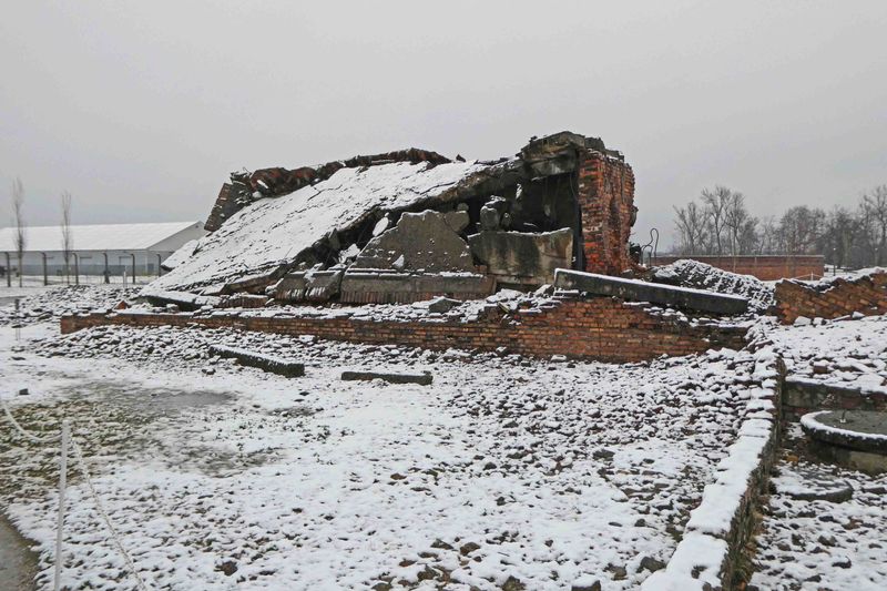 Gas Chambers at Birkenau were dynamited in January 1945