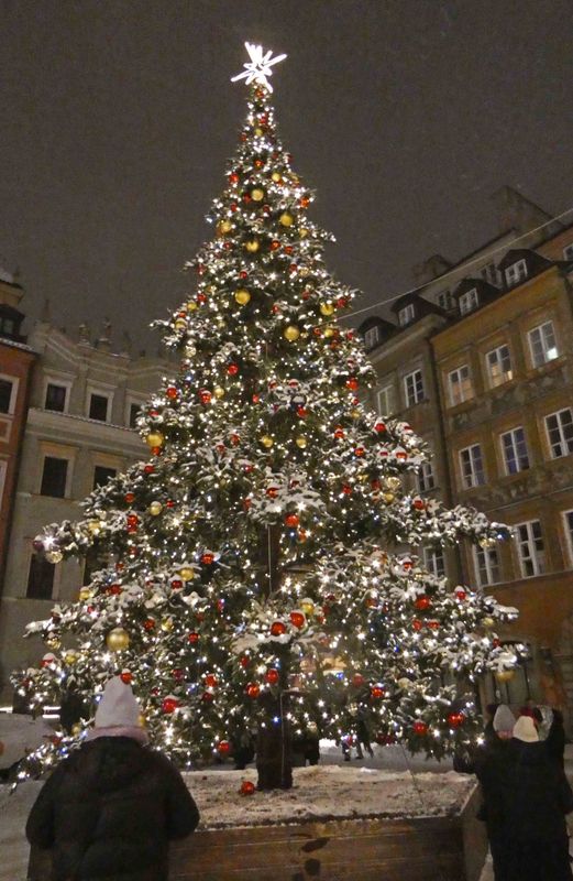 Warsaw Christmas Market Christmas Tree 