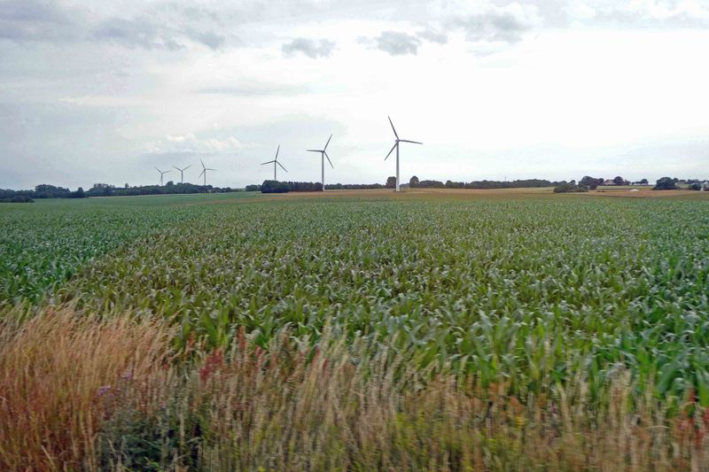 Wind farms are not popular with Bornholm residents and are being moved offshore