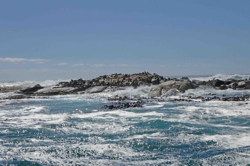 Approaching Duiker Island in rough water.JPG