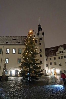 Christmas tree in courtyard of Hartenfels Castle