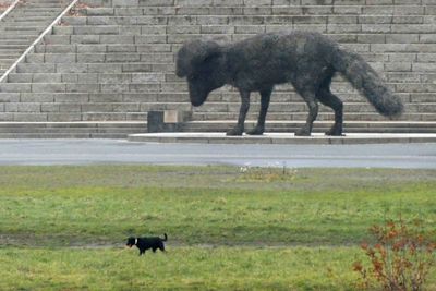 Dog statue and live dog in front of Saxony State Ministry of Finance in Dresden