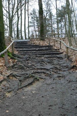 One of the muddy hiking trails in the Saxon-Swizerland National Park