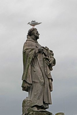 Gull on the head of St. Philip Benizzi (1714) on the Charles Bridge