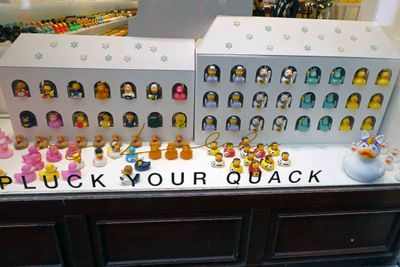 Window of shop called 'Duck Boutique' in Prague