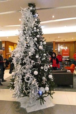 Floor to ceiling tree in lobby of the Radisson Blu Hotel in Krakow, Poland