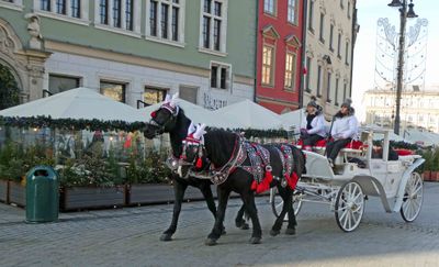 Horses decked out for Christmas in Krakow, Poland