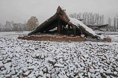 Probably about 90% of the victims of the Auschwitz complex were killed in the Birkenau camp