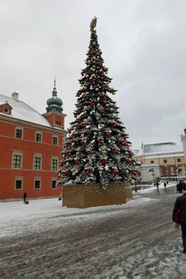Christmas tree at Warsaw's Royal Castle