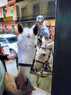 Horse Patrol visiting Boondock Saint