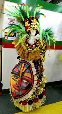 Samba Costumes are detailed & elaborate