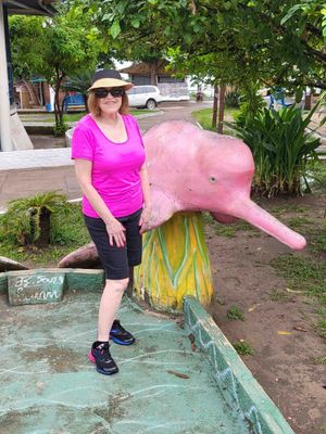Susan & Pink Dolphin Statue in Alter do Chao Park