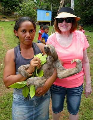 Lady feeding baby sloth