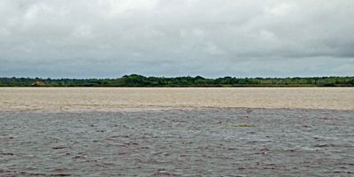 Rio Negro & the Solimoes River flow side by side for miles before converging