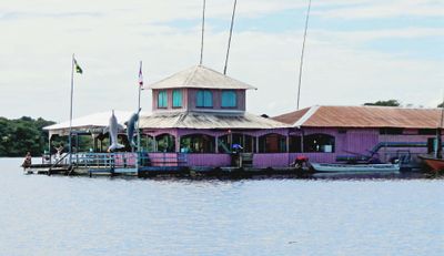Arriving at location of Pink Dolphin Encounter on Lake Acajatuba