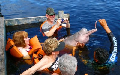 These Pink Dolphins live in Lake Acajatuba in the wild