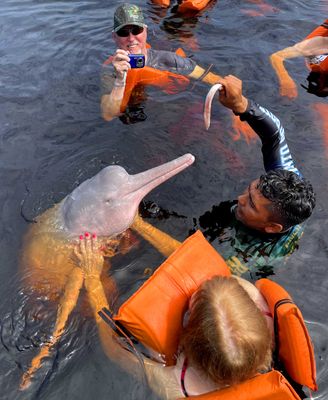 Pink dolphins are locally called 'botos'
