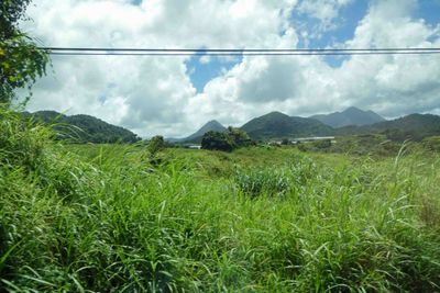 Driving through the Martinique countryside