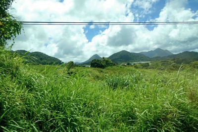 Martinique is a mountainous island