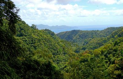 View of Caribbean Sea from Balata Garden suspension bridge