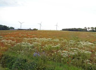 Wind turbines on the island of Bornholm, Denmark