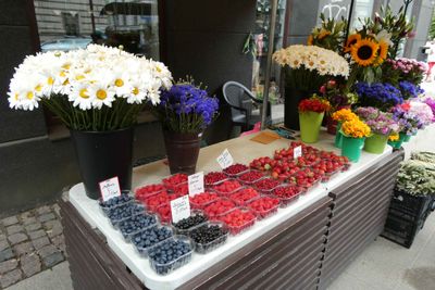 Corner market in Latvia, Estonia