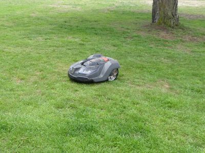 Easily entertained watching a robot lawn mower at Skagen Church