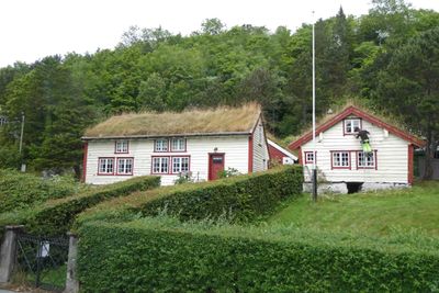 Sod roofs on the road to Mt. Aksla above Alesund, Norway
