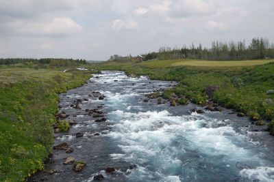 Nice stream in Iceland