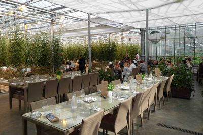 Fridheimar is a restaurant inside a tomato greenhouse