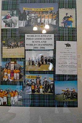 The 13th (and current) Duke of Argyll  is the captain of Scotland's national elephant polo team