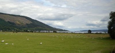 There are 1.2 sheep per resident in Scotland