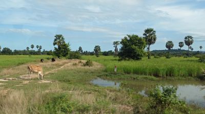 Rural Cambodia