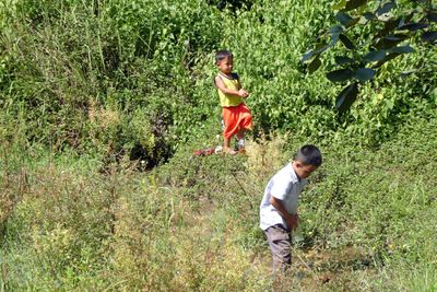 Cambodian boys catching snails