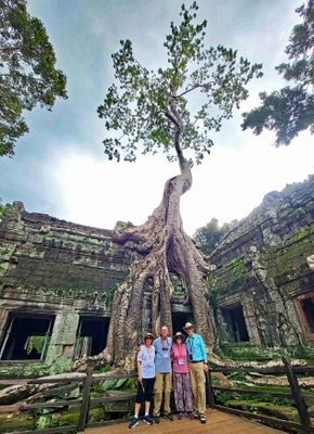 'The Lara Croft Tree' is the site of a famous scene from the 2001 Lara Croft movie