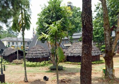 Example of huts of the Dani tribe in Papua (Indonesia's easternmost province)