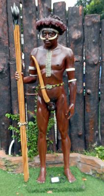 Penis sheaths, known as koteka, are worn by males in the Dani tribe to shield themselves from insect bites in the dense ju