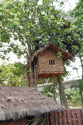 The Korowai are known for their traditional tree houses in Papau, Indonesia
