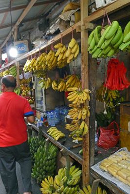 There are 10 types of bananas in Indonesia
