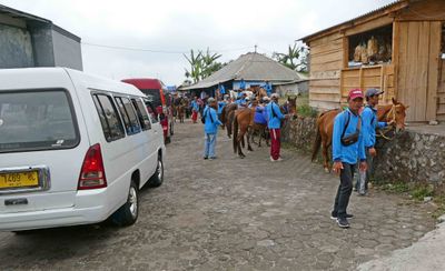 Transferring from vans to horses in Ungaran, Indonesia
