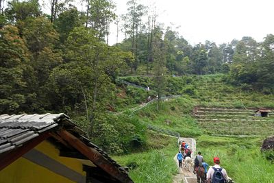 On the trail to Gedong Songo (ancient temple complex) at 4,000 feet above sea level